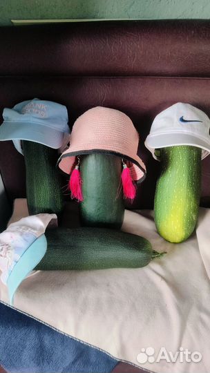 Кабачки, помидоры, тыквы