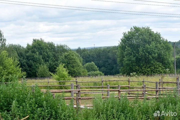 Аренда денников (постой)