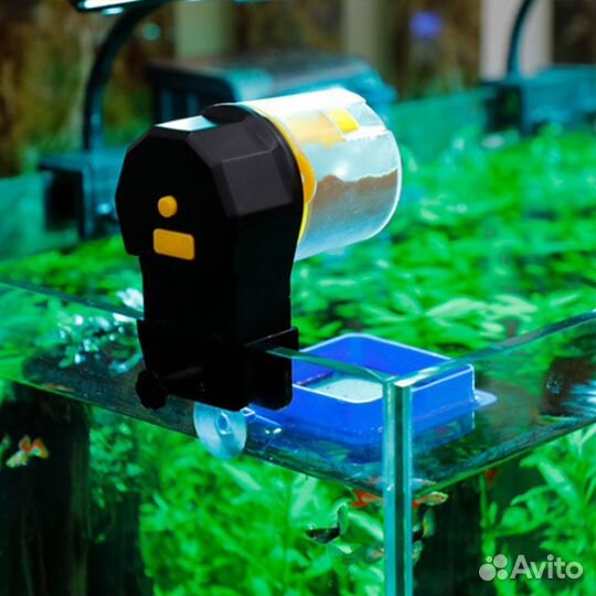 Автоматическая кормушка для рыб