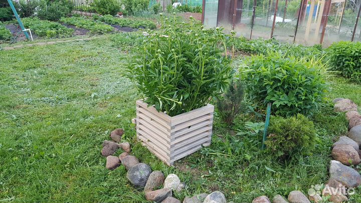 Деревянные уличные кашпо