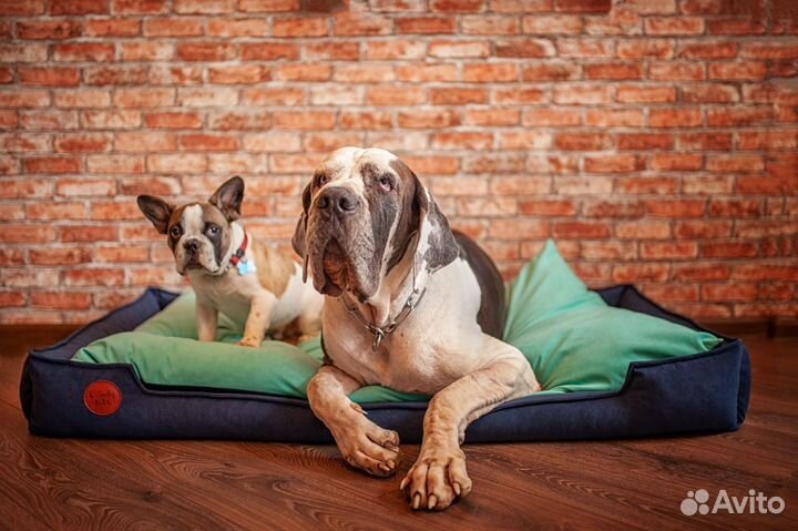 Лежанки, лежаки, кровати