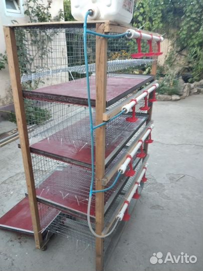 Клетка для перепелов