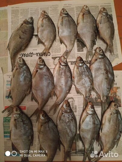 Вяленая рыба