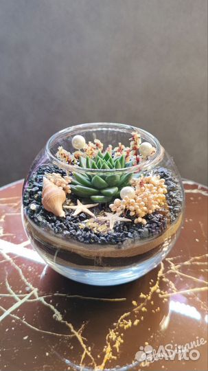 Мини-флорариум с живым растением