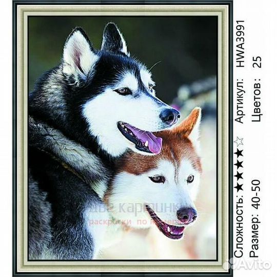 Алмазная мозаика 40x50 Уставшие собаки