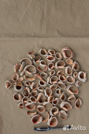 Ракушки/камушки для творчества, декора, аквариума