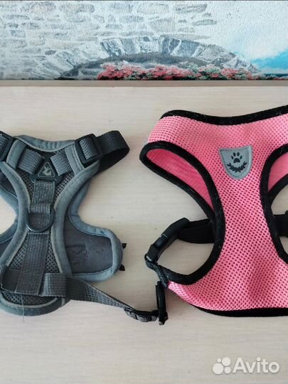 Шлейка для собаки