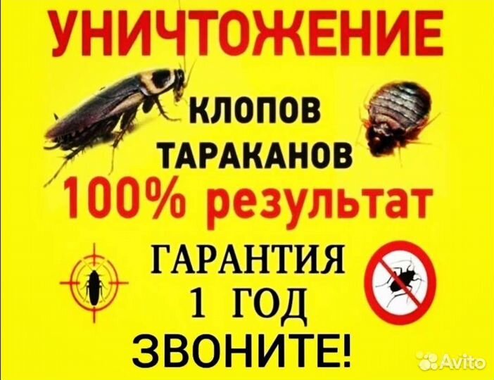 Уничтожение клопов тараканов блох мышей