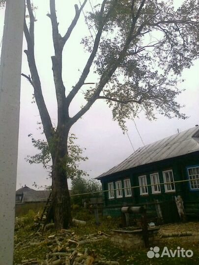 Спил деревьев по частям любой сложности