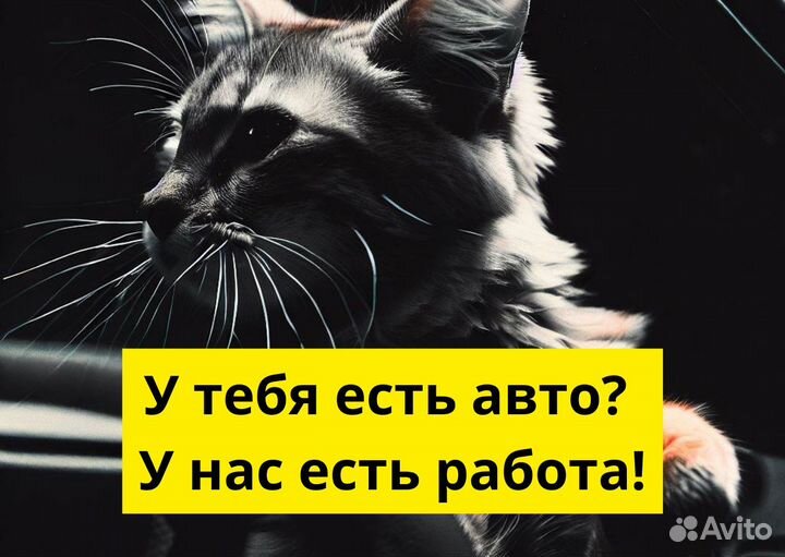 Начни карьеру водителя в Яндекс Go