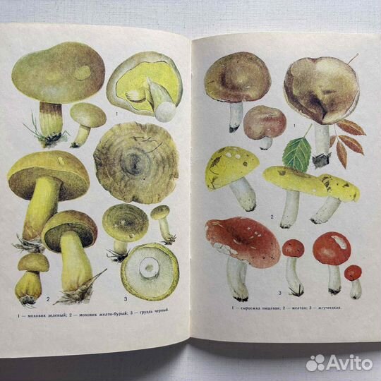 Угланов Н.Д. 