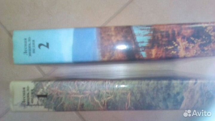 Рыбы России. ;