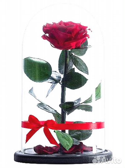 Розы в колбе любые