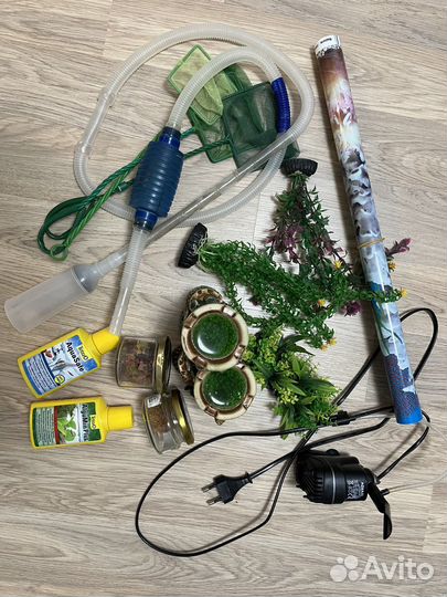 Аквариум All Inclusive