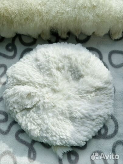 Берет новый мех кролика