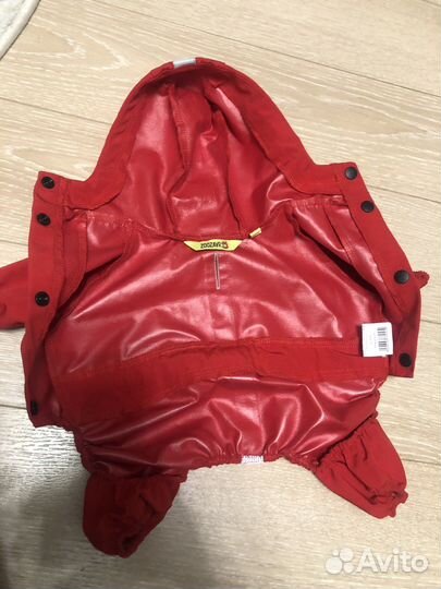 Одежда для собак мелких пород