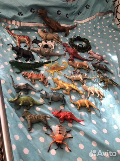 Животные разные