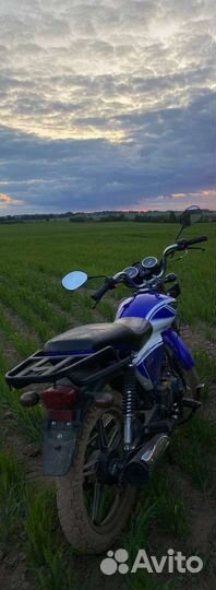 Альфа rx110