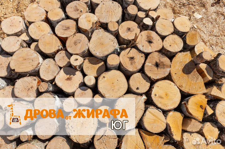 Дрова