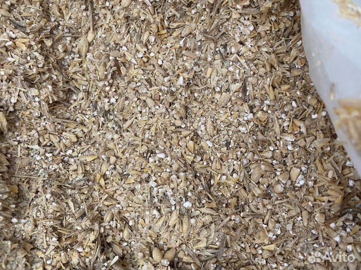 Ячмень дробленный