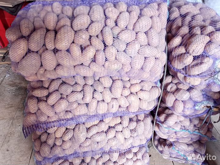 Продам картофель домашний с доставкой