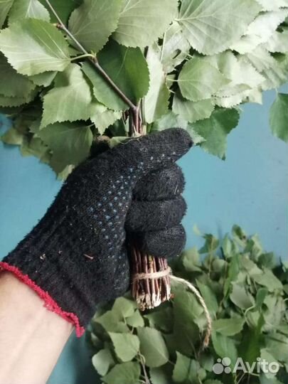 Березовые веники для бани