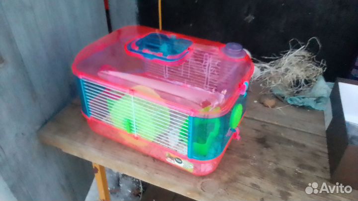 Бокс клетка для грызынов