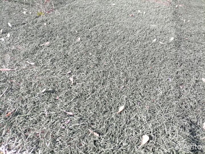Искусственная трава Б/У