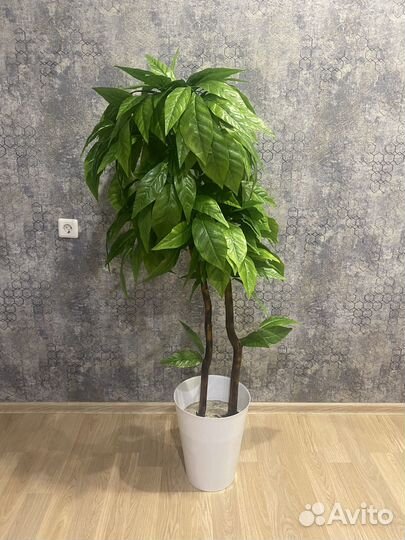 Искусственные (декоративные) растения