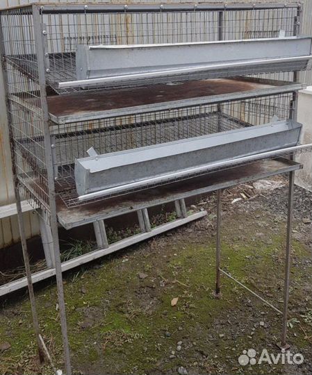 Клетки для перепелов