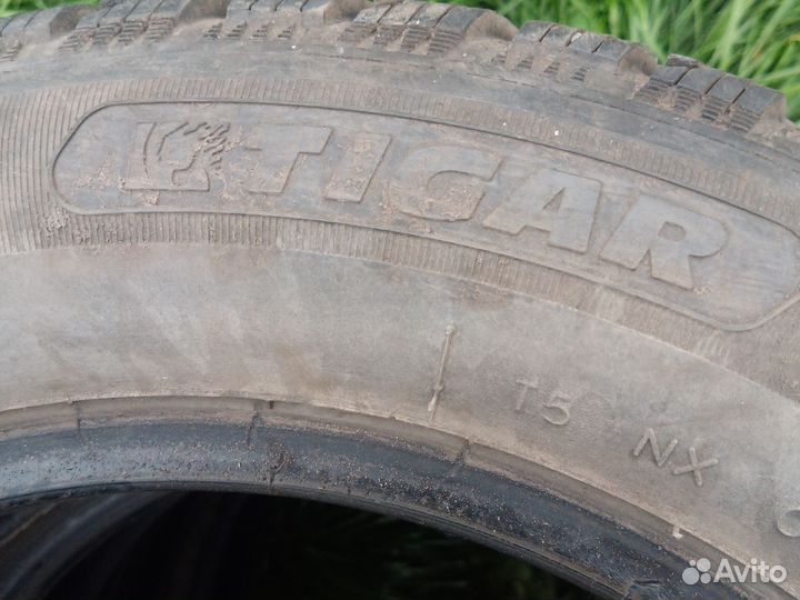 Tigar Ice 185/65 R15