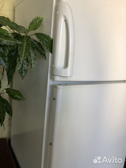 Холодильник Stinol