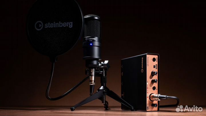 Steinberg UR12 Podcast Starter Pack Recording