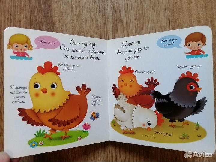 Буквы, цифры, книжки