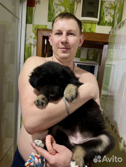 Монгольский банхар