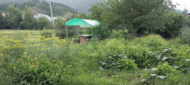 Дом 46 м² на участке 2 сот.