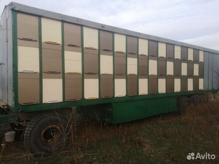 Продаю ульи