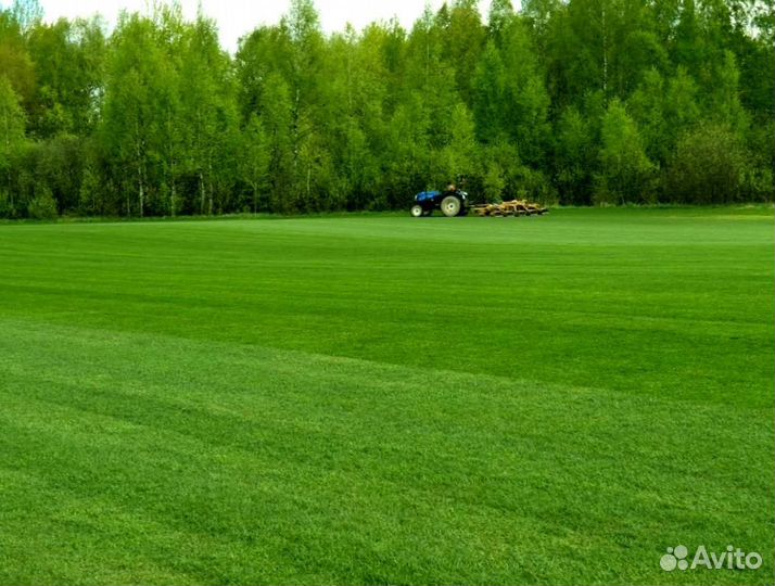 Рулонный газон