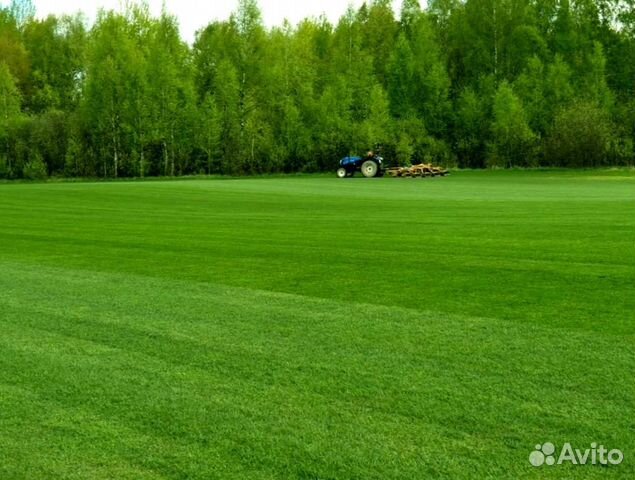 Рулонный газон