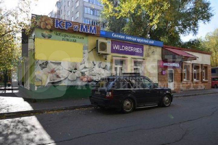 Доходная недвижимость 226.1 кв.м., ул. Пермякова