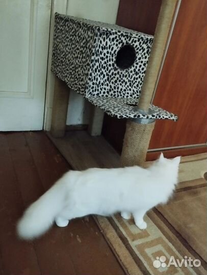 Домик для кошки