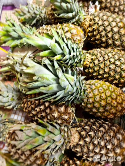 Продукты на корм животным и