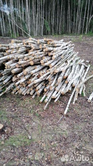 Дрова берёзовые