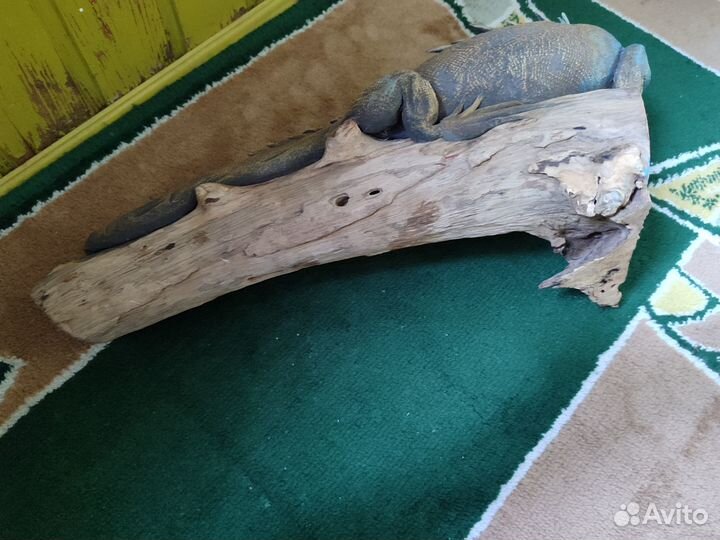 Ящерица(папье-маше)