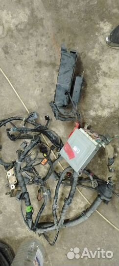 Эбу мозги MPV