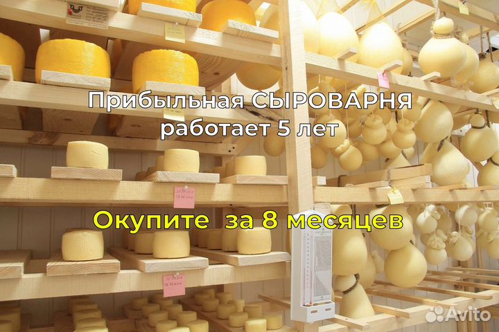 Прибыльная Сыроварня с интернет магазином