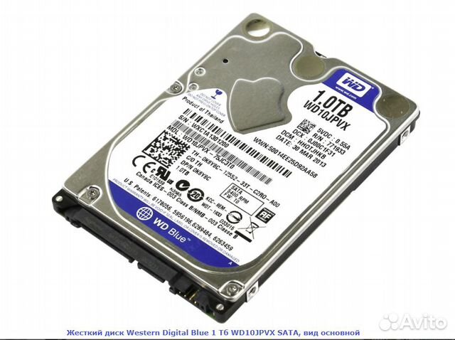 Жесткий диск Western Digital WD Blue 1 тб WD10jpvx купить в Москве ...