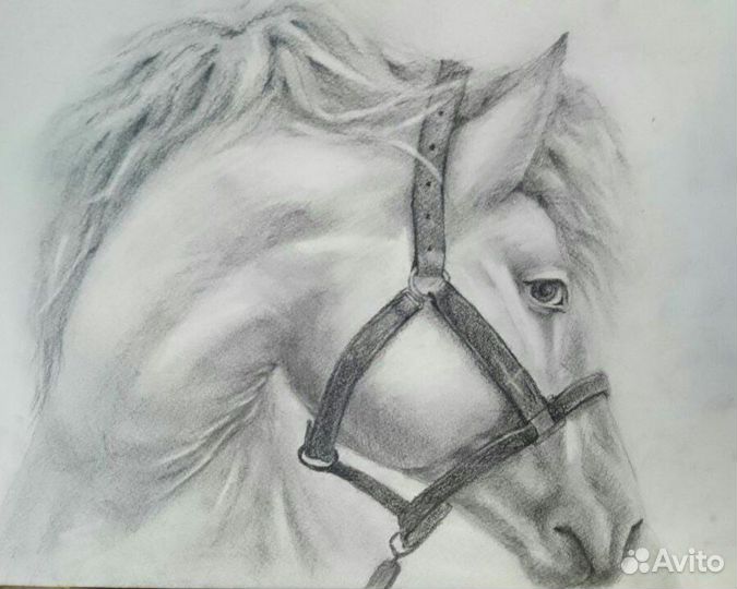 Репетитор по рисованию