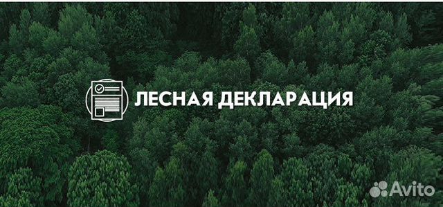 Федеральный проект сохранение лесов паспорт Проект освоения лесов, лесная декларация в Москве Услуги Авито