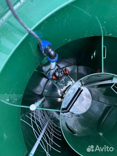 Септики Итал